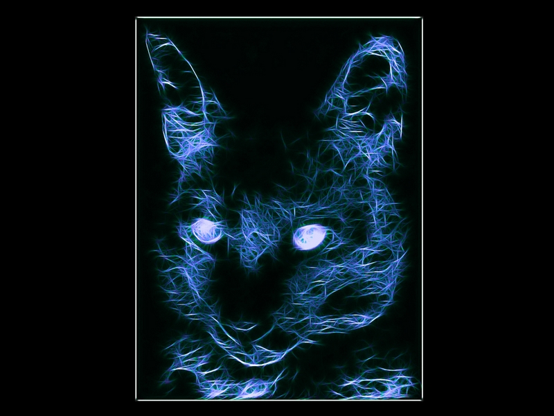 334 - CAT-4 - BANDYOPADHYAY MRINAL KUMAR - india.jpg